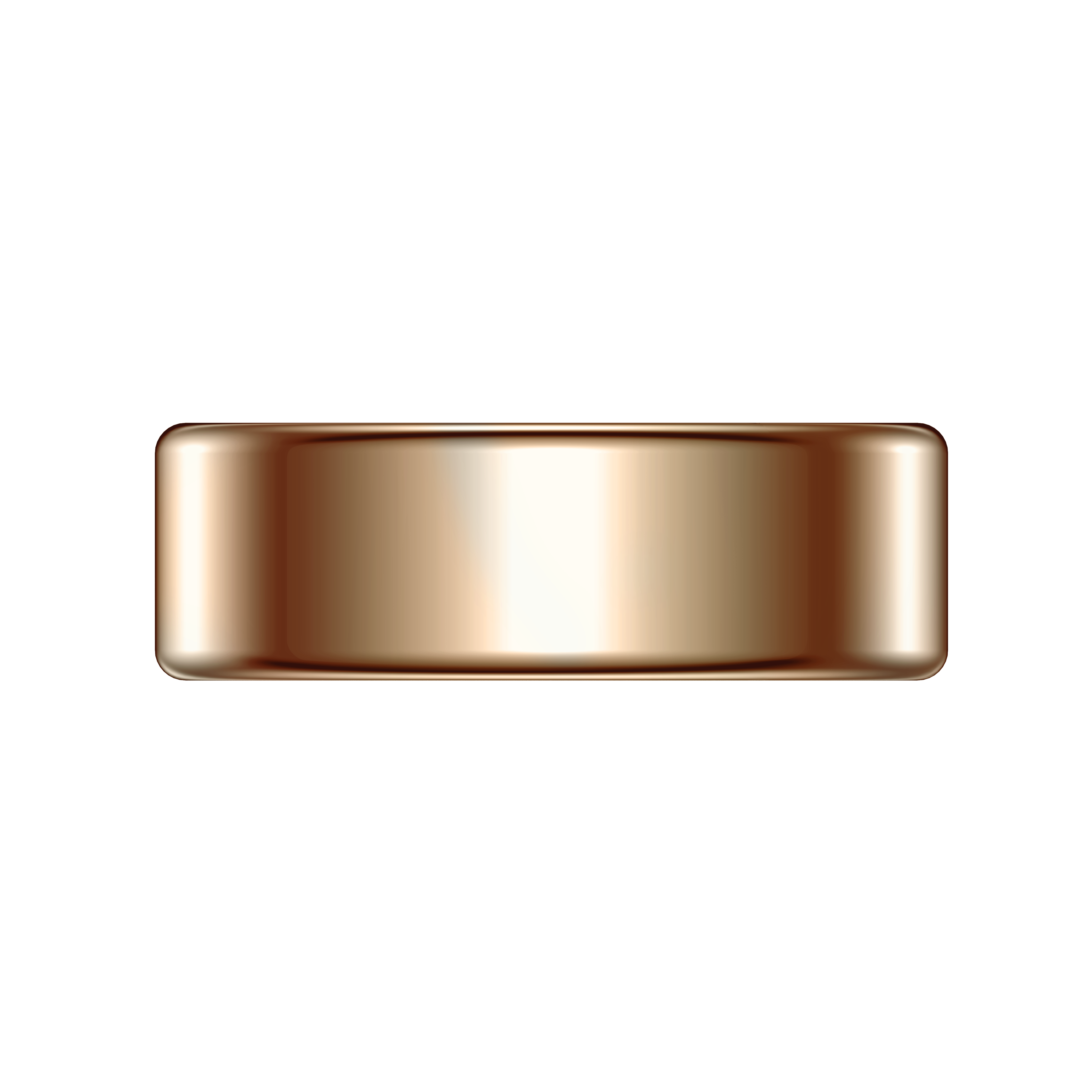 Smart Ring