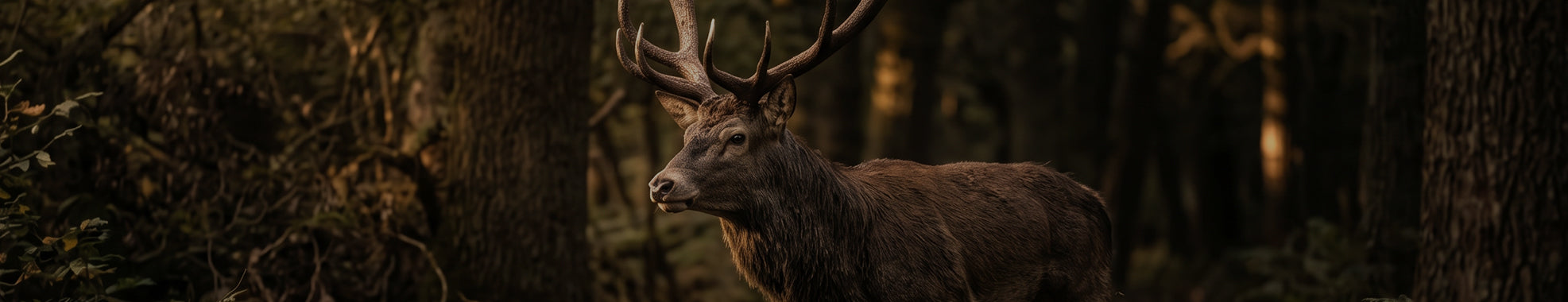 Antler